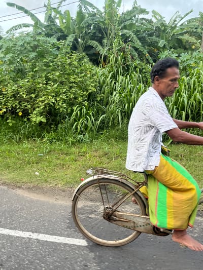 In Mirissa, Sri Lanka, a man with dark hair rides a bicycle. He is wearing a white short-sleeved shirt with a leaf-like pattern and a brightly colored sarong in yellow and green stripes. His bare feet are on the pedals. The bicycle is old and appears to be made of metal, with a rack over the rear wheel. The man is riding on a paved road with a white line marking the lane. To the right of the road is a grassy shoulder with some scattered litter. Behind the road and shoulder is a dense area of lush green vegetation, including tall grass, leafy plants, and large banana trees. The sky is overcast.