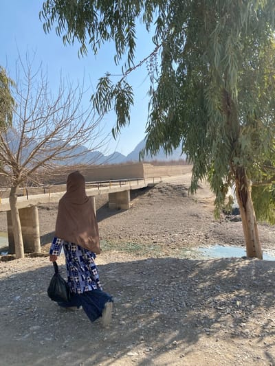 A person in a brown hijab and patterned blue dress walks along a concrete path next to a shallow canal with support structures. Bare tree branches spread from a lower left tree, contrasting with the green leaves of an overhead tree. A black plastic bag hangs from the person's hand. A mountain looms in the distance under a clear blue sky. The ground is dry and dusty. The image is captured in daylight with distinct shadows.