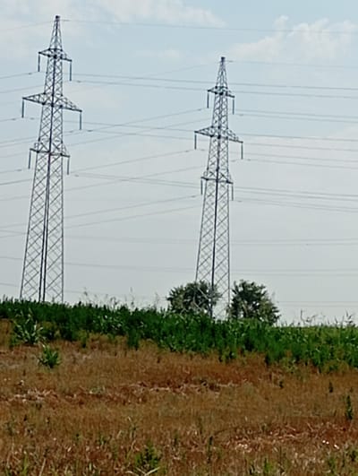 The image displays a landscape with two tall, lattice-style electricity pylons dominating the scene. These pylons are constructed from metal and are designed to support high-voltage power lines, which stretch across the sky behind them. The pylons are positioned on the left and right sides of the image, creating a sense of depth. Between the pylons, in the mid-ground, is a cluster of green trees. The foreground is a field of dry, brown grass and some scattered green vegetation. The sky is overcast with a pale, hazy light. The scene appears to be in a rural or semi-rural area.