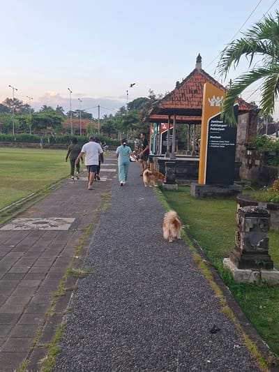 The image depicts an outdoor scene in Blahbatuh, Indonesia, possibly at a public park or recreational area. The time of day appears to be late afternoon or early evening, indicated by the soft lighting and the clear sky.
In the foreground, a paved walkway with a gravel border runs diagonally across the image from lower left to upper right. Two dogs, one light brown and fluffy and the other slightly darker with longer fur, are walking on the gravel path. The fluffy dog is facing away from the camera, while the darker dog is facing towards the camera.
Further down the walkway, a group of people are walking away from the camera. One individual is wearing a white t-shirt and dark shorts, another is in a green uniform, and a third person is wearing a dark outfit. Behind them, more people can be seen in the distance, including a person in blue.
To the right of the walkway, there is a structure with a red tiled roof, reminiscent of traditional Balinese architecture. In front of this structure, a large black sign with yellow accents displays text, including the title "Jaminan Kehilangan Pekerjaan" (Job Loss Guarantee) and "Manfaat" (Benefits), with bullet points listed below. Behind the sign is a palm tree.
The environment includes a large grassy field to the left of the walkway, with several trees and streetlights visible in the background. The overall atmosphere is peaceful and suggests a casual outing or exercise session.