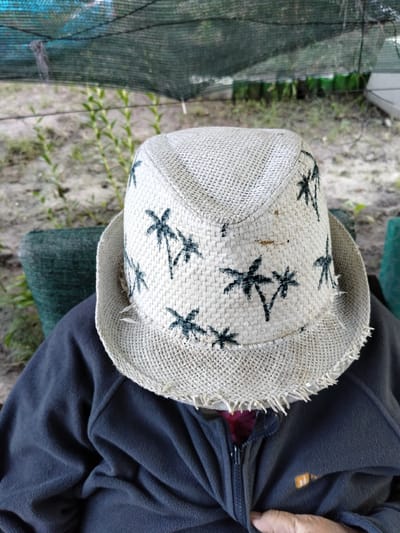 A person wearing a dark blue fleece jacket and a straw hat with a palm tree pattern is sitting in an outdoor setting. The hat obscures the person's face. The background shows dry grass and a green mesh netting overhead, suggesting a sunny or shaded outdoor area. The overall impression is casual and relaxed. The image was taken in Shchastia, Ukraine.