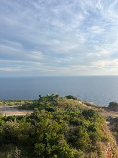 An elevated view captures the tranquil expanse of the Adriatic Sea meeting a clear sky with scattered wispy clouds. The foreground is dominated by lush green foliage and shrubbery, indicative of a coastal Mediterranean landscape, possibly in or near Zagora, Montenegro. A paved road winds through the greenery, with a lone lamppost standing sentinel beside it. The terrain slopes gently towards the sea, forming a verdant hillside. The water appears calm and deep blue, stretching to the horizon. There are no people or animals visible in the scene. The overall impression is one of natural beauty and serenity.