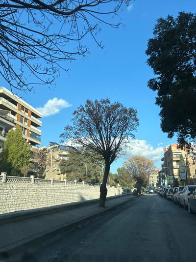 The image depicts an urban street scene in Al-Muhajerin Municipality, Syria, under a clear blue sky with scattered white clouds. The perspective is from a low vantage point, likely from within a vehicle, looking down a street that recedes into the distance.
In the immediate foreground, the dark asphalt roadway shows signs of wear. To the left, a grey concrete sidewalk runs alongside a substantial retaining wall constructed from light-colored, rough-hewn stone blocks, capped with lighter concrete coping and intermittent decorative posts. A tall, bare-branched deciduous tree stands prominently on this sidewalk, slightly leaning towards the street.
Along the left side of the street, beyond the retaining wall, multi-story residential buildings are visible. The leftmost building features light-colored facades with multiple balconies and horizontal brown architectural elements. Further along the left, more buildings are interspersed with green trees and shrubs, and one rooftop displays solar panels.
The street itself is lined on its right side by a continuous row of parked passenger vehicles, including sedans and SUVs of various colors (white, silver, grey, dark), all facing away from the camera. Another tree with sparser, lighter-colored foliage stands on the left side of the street further down, followed by additional trees and more multi-story buildings in the background. A dense canopy of dark green trees extends into the frame from the upper right. Streetlights are intermittently visible along both sides of the thoroughfare, and a street sign or billboard with green and white graphics is noticeable on the right side in the mid-distance. No individuals or explicit actions are discernible within the frame. The scene is bathed in bright daylight.