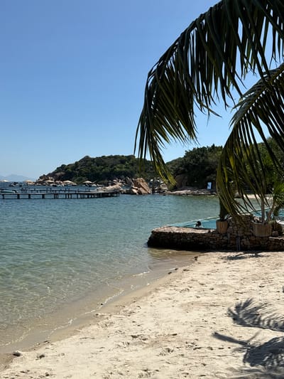 The image depicts a sunny coastal scene in Cam Ranh, Vietnam. A clear blue sky occupies the upper portion. The calm, turquoise water of a bay fills the left and central mid-ground, featuring gentle ripples. A light-colored sandy beach extends across the lower right and foreground, showing footprints and the distinct shadow of a palm frond.
In the mid-ground, a lush, green, rocky hill rises from the water on the left, with numerous large boulders along its base. Extending into the bay from the left is a wooden pier with multiple sections, some supporting white umbrellas. A small, light-colored boat is moored near the pier.
On the right side of the image, bordering the beach, a stone structure encloses a clear-sided pool or swimming area within the bay. A single individual is visible, partially submerged and swimming within this enclosure. Smaller potted plants are situated around the stone structure. Overhanging palm fronds frame the top and right sides of the image, obscuring parts of the sky and coastline. A rectangular, reflective object is partially visible on the distant right shore, amidst the vegetation.