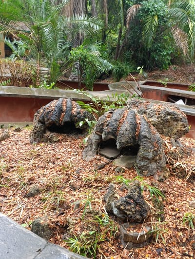 The image shows a small, paved area covered in dry leaves, located within a lush garden. The scene features two large rock formations, each with an opening resembling a cave, situated on the ground. The rock formations are made of a dark grey stone, appearing weathered and naturally eroded. They are surrounded by a thick layer of dry, brown leaves, with small, green plants growing between them. The ground appears uneven, suggesting the area may be a natural rock formation. The background is a lush garden with tall trees and green foliage, contributing to a sense of seclusion and tranquility. The coordinates indicate the location is in Mombasa, Kenya, but the specific address cannot be determined from the image.