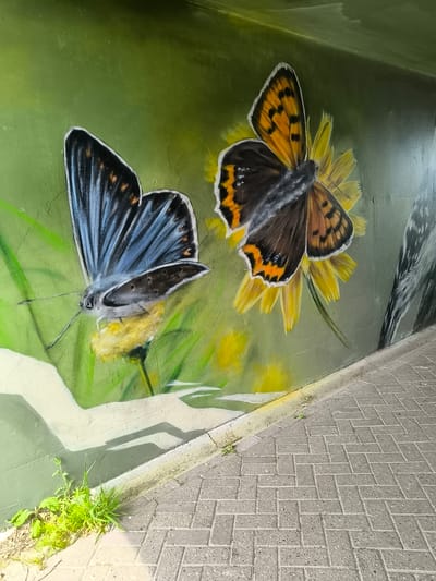 This image depicts a mural featuring two butterflies painted on a green wall, presumably inside an underpass or tunnel. The butterfly on the left is primarily blue and grey, while the one on the right is orange and brown, perched on a yellow flower. The mural is situated at ground level, next to a paved walkway constructed of grey bricks. Small patches of grass and weeds are growing at the base of the wall where it meets the pavement. A partial image of a bird can also be seen to the right of the butterfly on the right. Given the prompt, this mural is likely located in the city of Zandvoort, Netherlands.