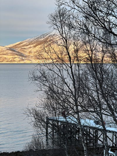 This image depicts a winter coastal scene in the city of Tromsø, Norway. A tranquil body of water, likely a strait or fjord, spans the mid-ground, with a large, snow-covered mountain rising prominently in the background. The mountain's slopes are bathed in warm, golden sunlight, contrasting with the cool, pale sky above. Small, distant structures are visible along the base of the mountain on the far shore. The foreground and mid-ground are largely occupied by a dense arrangement of bare-branched deciduous trees, silhouetted in dark tones. Through these trees, a wooden pier extends into the water from the immediate shoreline. Patches of snow are visible on the pier's horizontal surfaces. Distinct objects on the pier include a red-colored item obscured by branches on the left, a white object (possibly a chair or covered item) on the right, a dark rectangular object further right, and a small, bright orange marker. The immediate shoreline features dark, rugged vegetation. No persons are present, and no activities are depicted. The scene is illuminated by low-angle sunlight, indicative of a winter day.
