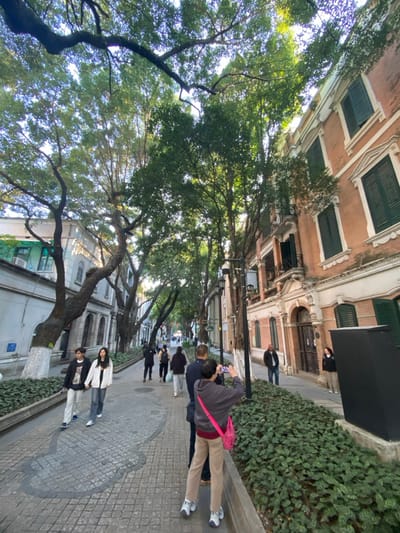 This image captures a vibrant urban street scene in Guangzhou, China, featuring a tree-lined avenue flanked by historic buildings and bustling with pedestrians. The perspective is slightly tilted, looking down the street.

On the right side of the frame, several multi-story buildings with European-style architecture stand tall. They feature warm brick-colored facades, white decorative trim, and dark green louvered windows. A low, meticulously maintained hedge runs along the base of these buildings, separating them from the sidewalk.

The street itself is heavily shaded by numerous large, mature trees with thick, gnarled trunks and dense green canopies, suggesting a subtropical climate. A wide sidewalk, paved with intricate grey and white patterns resembling cobblestones, including a large, distinctive cloud-shaped design in the foreground, guides the eye down the street.

Several people are visible, engaging in typical street activities. In the immediate foreground, a person wearing a grey jacket, khaki pants, and a pink cross-body bag is actively holding up a smartphone, seemingly taking a picture or video of the scene ahead. Another individual in a dark jacket stands nearby. Further down the sidewalk, two people, a man and a woman, are standing still, possibly posing or waiting. Other pedestrians can be seen strolling in the background.

The lighting suggests it is daytime, possibly late afternoon or early morning, with soft, natural light filtering through the tree canopy. The overall atmosphere appears relaxed and conducive to sightseeing or a leisurely walk. There is no clearly legible text visible in the frame.