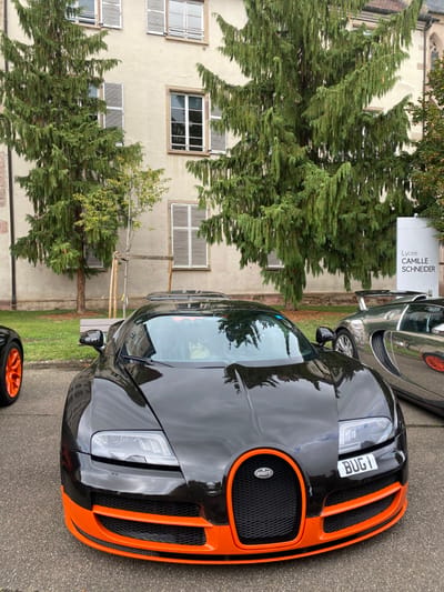 The image depicts a black Bugatti Veyron sports car with bright orange front grille surround and lower bumper accents, parked on a paved surface. The vehicle bears a "BUG1" license plate on its front. To the right, a silver or chrome Bugatti, likely another Veyron, is partially visible. An orange-colored wheel of a third vehicle is discernible on the far left.

In the background, a light-colored, multi-story building with numerous windows, some featuring closed white louvered shutters and others open, serves as the backdrop. Several large, dark green coniferous trees are prominent, partially obscuring the building's facade. A smaller, deciduous tree with wooden support stakes stands between two larger conifers. A patch of green grass is visible between the parked cars and the building.

A white sign with "Lycée CAMILLE SCHNEIDER" printed in black text is visible on the right side of the image, partially behind a large tree. This identifies the location as the Lycée Camille Schneider in Molsheim, France. No individuals or active interactions are visible. The scene is outdoors, likely a parking area or courtyard.