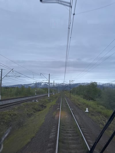 The image, taken from inside a moving train, depicts a landscape view looking along parallel train tracks stretching into the distance. The perspective is from a window, with faint reflections visible, including a small red dot, possibly from an internal light.

In the foreground, two railway tracks with gravel ballast recede into the horizon. To the right of the tracks, a white marker post with the number "2" printed on it stands beside the line. An extensive network of power lines and their supporting poles, part of the catenary system for an electrified railway, runs parallel to the tracks, dominating the middle ground of the sky.

The surrounding landscape features green vegetation, including trees and grass, lining both sides of the railway. In the background, rugged mountains, some with visible patches of snow on their peaks and slopes, rise beneath a heavily overcast and uniformly gray sky. The dim, diffused lighting suggests a gloomy, cloudy day, or possibly dawn or dusk. No people are visible in the scene. The combination of snowy mountains, northern vegetation, and electrified railway lines is consistent with the location context of Apatity, Russia.
