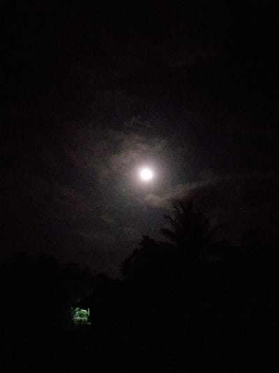 The image depicts a nighttime scene in Mns Alue, Indonesia, under a full moon. The sky, partially obscured by dark clouds, features a bright, spherical moon positioned in the upper center of the frame, emitting a diffuse white light. The lower two-thirds of the image are dominated by dense, dark silhouettes of tropical vegetation, including a distinct palm tree shape on the right side. In the lower-left quadrant, a small, rectangular area is illuminated with a vivid green light, emanating from an unseen source, possibly a structure or building, casting a prominent glow on nearby foliage. No discernible people, actions, or direct interactions are visible.