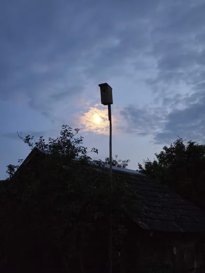 An outdoor, low-angle, full shot captures a dim, twilight scene in Навадворскі сельскі Савет, Belarus. The sky is a pale blue with scattered, wispy clouds. In the upper center of the image, a sliver of the moon is visible, glowing warmly through a patch of clouds. A dark birdhouse on a tall, thin pole stands silhouetted against the sky, just to the left of the moon. Below the birdhouse, the dark, sloping roof of a building is visible, partially obscured by lush, dark green foliage. Trees are also visible on the right side of the frame, their leaves silhouetted against the twilight sky. The overall impression is one of a quiet, natural setting at dusk.
