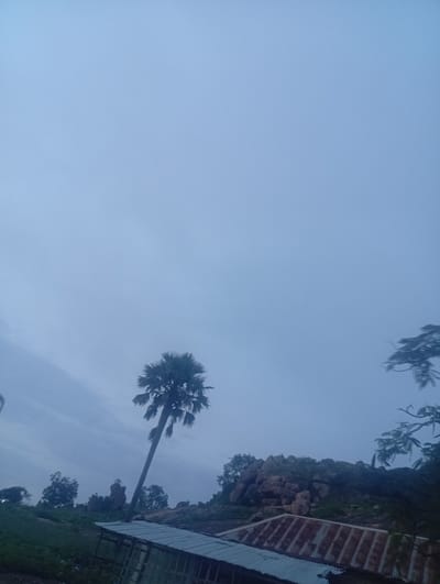 The image depicts a twilight scene in Du, Nigeria, characterized by a hazy, overcast sky. In the foreground, a rustic structure with a corrugated metal roof is partially visible. Behind this structure, a large palm tree stands prominently, its fronds spread against the muted sky. The landscape further back features a rocky outcrop dotted with vegetation. The overall atmosphere is subdued, suggesting the end of the day or an impending weather change.