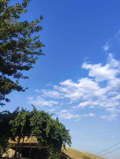 The image depicts a bright, sunny day in Sultonobod, Tajikistan, with a clear blue sky dotted with fluffy white clouds. The foreground is dominated by lush green foliage, with a large tree on the left and a vine-covered structure on the bottom left. The vine-covered structure appears to be a rustic, open-air building with a corrugated roof. In the background, a gentle, grassy hill slopes upwards, with a few scattered power lines and poles visible against the sky. The overall impression is one of a rural or semi-rural setting bathed in natural light.