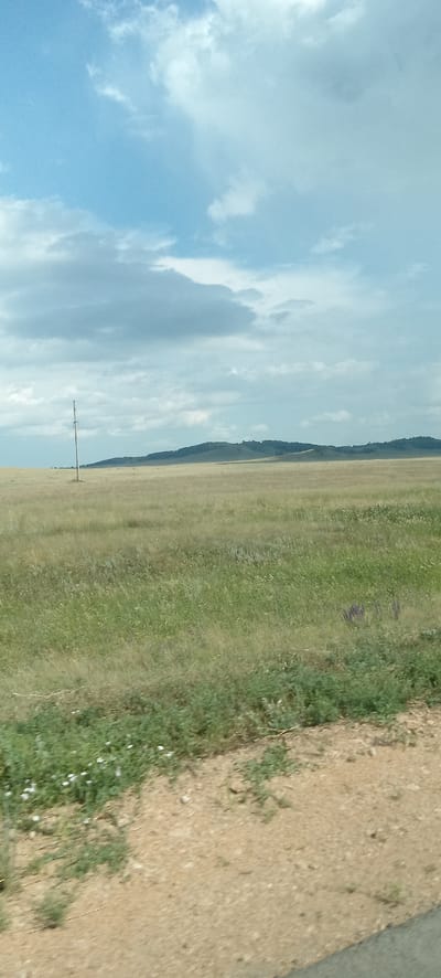 The image shows a wide, open grassland landscape with a gently rolling hill in the background under a cloudy sky. In the middle ground, a lone wooden utility pole stands in the field. The foreground consists of a dirt path with sparse green vegetation and small white wildflowers. The sky is partly cloudy with large, textured gray clouds against a pale blue background. The overall impression is one of a rural, possibly remote, location. There are no people or discernible structures other than the utility pole. The location is specified as Айдарлы, Kazakhstan.