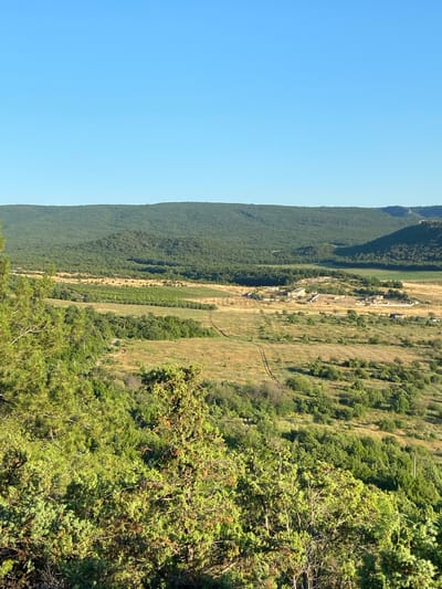 This is a high-angle, wide shot of a rural landscape under a clear blue sky. In the foreground, dense green foliage from trees and bushes occupies the lower portion of the frame. The middle ground features rolling hills and fields, with patches of dry, golden grass and areas of green vegetation. A dirt track winds through the fields. In the distance, a cluster of low-lying buildings, possibly a farm or a small settlement, is visible. Further back, large, tree-covered hills form the horizon line. The scene appears to be located in the city of Krasnomakskyi rural settlement, Ukraine.