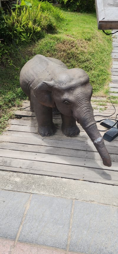 A realistic, life-sized elephant statue is positioned on a wooden walkway in what appears to be an outdoor recreational area or park. The statue is dark gray, with detailed wrinkles and folds indicating realistic skin texture. It is depicted in a walking stance, with its trunk extended forward and slightly downwards, tipped with a white marking. The elephant's ears are large and spread out, and its eyes are visible, giving it an alert expression.
The walkway is constructed from weathered wooden planks laid horizontally across the frame. To the left of the walkway, there is a patch of vibrant green grass interspersed with lush green ferns and other foliage. Beyond the grass, a blurred background suggests further greenery and possibly some outdoor structures. To the right of the walkway, a section of what appears to be a light-colored wooden deck or platform is visible at the top of the frame. Two dark, rectangular objects, possibly electronic devices or weights, are situated on the wooden walkway near the elephant's hindquarters. The foreground of the image shows a paved area with square tiles in shades of gray and pink, with visible grout lines and some light-colored sand or dirt.
The lighting suggests it is daytime, with sunlight casting shadows from the elephant and other objects onto the wooden walkway. The overall scene depicts a static, artificial representation of an elephant in a naturalistic setting, likely intended as a decorative element.