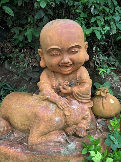 A terracotta statue of a laughing child monk sits on top of a reclining animal, possibly a lion or tiger, with a small sack to the right. The statue is weathered and covered in moss, indicating it is outdoors. The background is filled with lush green foliage and rocks, suggesting a garden or natural setting. The scene is likely located in Tây Hoa Lư Ward, Vietnam, given the description.