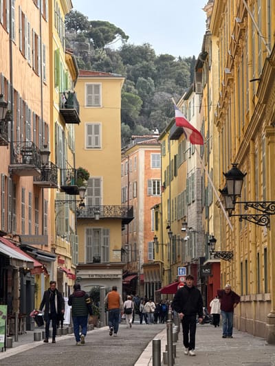 This image depicts a narrow, bustling pedestrian street within the Old Town of Nice, France. The street is lined with tall, multi-story buildings featuring classical European architecture, predominantly painted in pastel shades of orange, yellow, ochre, and light green. Many windows are fitted with closed louvred shutters, typically grey or light-colored, and several buildings feature ornate wrought-iron balconies.
On the left, an orange-hued building has a shop awning with "PASTEL" visible. On the right, a grander ochre-yellow building displays intricate decorative elements, ornate black wrought-iron street lamps, and a French flag (red, white, and blue) extending from a pole. Further down the street, a building prominently features a sign for "La Tapenade." A densely forested hillside, indicative of Castle Hill, rises in the background under an overcast sky.
The street is paved with grey and white patterned stones and delineated by metallic grey bollards. Numerous pedestrians populate the scene: In the foreground, a man in a dark jacket carries a dark bucket. Behind him, another man in a green jacket with a yellow armband walks, along with a man in an orange sweater. To the foreground right, a young man in a black tracksuit walks towards the viewer. Further down the street, an older man in a maroon shirt stands with hands on hips, and a group of other pedestrians is visible moving in various directions. Street signs, including a blue pedestrian/bicycle sign and a red circular sign, are also present.