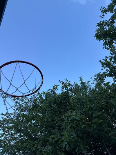 The image is an upward-facing shot of a blue sky with a basketball hoop and a tree. The basketball hoop, with a red rim and white net, is in the lower left quadrant. The tree, full of green leaves and small green fruits, occupies the lower right and center of the frame. The top of the image is dominated by the clear blue sky, with a subtle gradient suggesting dusk or dawn. The image appears to be taken outdoors, likely in a residential area or park within the city of Petukhi, Russia. There are no people visible in the image. The lighting suggests it is either early morning or late evening.