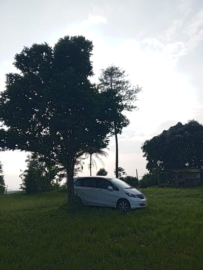 The image captures a serene, rural landscape in Kudawa, Sri Lanka, under a bright, overcast sky. In the foreground and midground, a vast expanse of lush green grass stretches across the frame. A white multi-purpose vehicle, resembling a Honda Freed, is parked on the grass, angled slightly towards the right. Its front fascia and a partially visible license plate, which appears to contain characters like 'H444', are discernible.

Dominating the left side of the image is a large, dark-leafed tree, its dense foliage creating a significant presence and partially obscuring the car from the left. Behind this main tree and the car, a tall, slender coniferous tree stands prominently. To the far right, nestled among more trees and vegetation, is a small, rustic wooden shelter or hut topped with a corrugated metal roof, suggesting a simple structure typical of rural settings.

The sky is bright and diffused with white and light gray clouds, indicating either an early morning, late afternoon, or overcast daytime setting, characterized by soft, indirect light. There are no people visible, and the scene depicts a moment of stillness and tranquility in a natural, unurbanized environment.