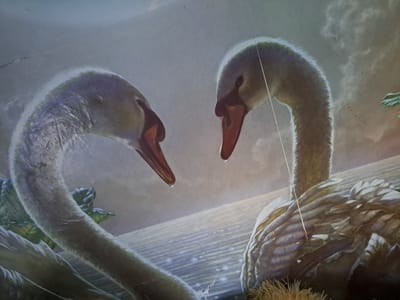 This image depicts a painting of two swans facing each other. The swans are light-colored with orange beaks and have water droplets falling from their beaks. One swan is on the left, with its neck curved, and the other is on the right, with its neck extended. The background is a soft, muted blend of colors, suggesting a serene or possibly dawn setting. There are hints of greenery on the left and right sides of the image. The swans appear to be on a wooden surface, possibly a dock or a bridge, with a textured, reflective surface below them, possibly water. The overall mood is one of gentle connection and perhaps tenderness between the two birds. No text is visible in the image. The provided location context of Vypasne, Ukraine, does not offer specific cues within the artwork itself, but implies a possible interpretation of the setting as a natural landscape in that region.