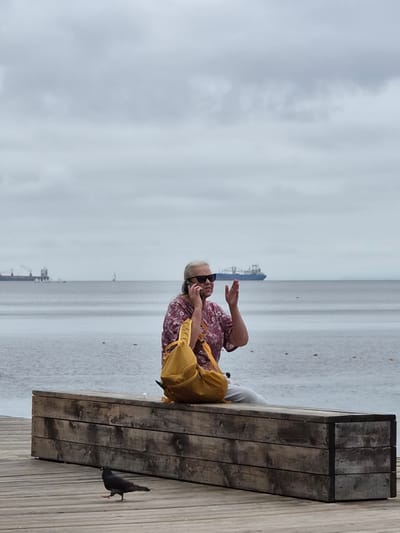 A woman is sitting on a wooden bench on a cloudy day, speaking on a mobile phone. She is wearing sunglasses and a floral print shirt, with a yellow backpack on her lap. A pigeon is walking on the wooden walkway in front of the bench. In the background, several large ships are visible on the water, suggesting a port or shipping lane. The overall scene evokes a sense of everyday life in a coastal city, possibly Vladivostok, Russia, given the presence of large cargo ships and the general atmosphere.