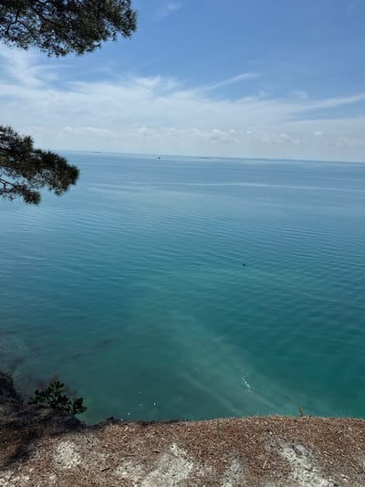 The image shows a view from a cliff overlooking the sea in Dzhankhot, Russia. The sea is a deep turquoise color with gentle waves and a few distant ships visible on the horizon. On the left side of the frame, a pine tree branch hangs over the cliff. The cliff face itself is covered in dry grass and loose soil. The sky is a clear blue with scattered white clouds. A small boat is visible in the middle of the sea.