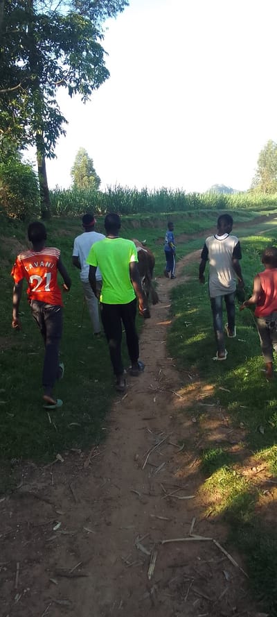 Five men are walking along a dirt path, which is surrounded by green grass and a field of tall plants. The men are walking in a single file line. One man is wearing a red shirt with the name “CAVANI” and the number “21” on the back. Another man is wearing a bright green shirt.  One man is in front, and appears to be holding a rope attached to a brown and white cow walking behind him. There is a small tree on the left side of the image, which appears to be growing in the grass beside the path. The sky is light blue with some clouds. There are some small pieces of debris scattered on the ground near the path. 

The coordinates provided (latitude: 0.381, longitude: 34.793) correspond to a location in Kenya, but not in the city of Lubao. The city of Lubao is in the Philippines, while the provided coordinates indicate a location in Kenya, likely near the town of Mumias.