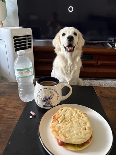 A fluffy white dog is looking directly at the camera with its mouth open. The dog is positioned in the foreground on the left side of the image. To the right of the dog, a black table has several items on it. In the middle ground, a white mug with a blue rim features a Stitch character and text that reads "This is a good day!". Next to the mug, a white plate holds a sandwich, which appears to be a pita bread folded in half with a filling that includes red sausage and green avocado. Two pills, one white and one pinkish-purple, are visible on the table near the plate. In the foreground on the left, a partially visible white appliance with vents is next to a clear plastic water bottle. The background shows a dark surface that could be a television screen with a white circular graphic, and a wooden cabinet or furniture. The scene appears to be indoors, possibly a living room or dining area. The lighting suggests it is daytime.