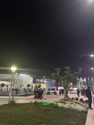 A night scene features a pathway lined with flags and decorative trees. People stroll along the path, illuminated by streetlights. Adjacent to the path is a grassy area. A large building is visible in the background, partially obscured by the nighttime darkness. The scene is captured with a slight tilt, making the sky appear on the left side of the frame.