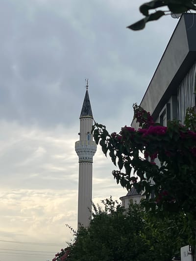 This media file shows a minaret of a mosque against a cloudy sky, with foliage in the foreground. The minaret is tall and slender, with a pointed roof and decorative elements around its upper section. The sky is overcast, suggesting it could be morning or late afternoon. The foliage consists of green leaves and some purple flowers, indicating a warm climate. The overall scene appears to be set in a residential or urban area, possibly in Antalya, Turkey, given the location context. There are no people visible in the frame. The image is taken from a low angle, looking upwards towards the minaret and sky. The light suggests it is daytime, but the overcast conditions create a diffused light. There is no visible text in the image. The mood is peaceful and serene, with the natural elements of the foliage contrasting with the man-made structure of the minaret.