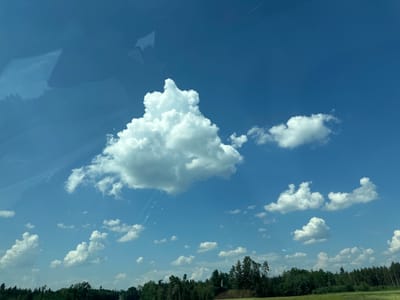 The image, taken in Halfing, Germany, depicts a bright, clear sky filled with scattered white cumulus clouds. The perspective is inverted, making it appear as though the sky is below the viewer and the earth is above. The upper portion of the image shows a dark green forest line with varying tree heights, indicative of a temperate climate. A hint of a green field is visible at the very top, suggesting a rural or natural setting. The clouds themselves are varied in size and shape, with some appearing as fluffy, distinct masses and others as wispy streaks. The overall impression is one of a pleasant, sunny day, likely during daylight hours due to the brightness of the sky and the well-lit clouds. There is no visible text in the image. The reflections on the surface suggest this might be a photograph taken through a window.