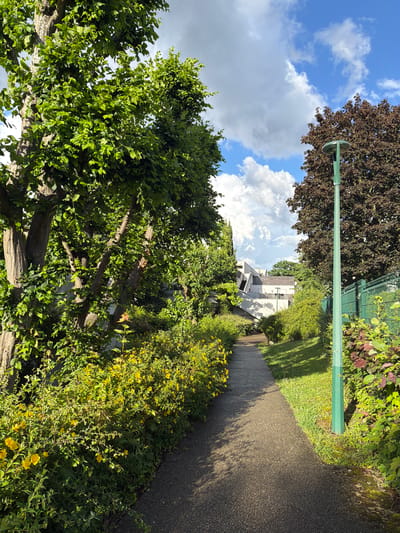 The image captures a sunlit outdoor scene featuring a paved pathway winding through abundant greenery, indicative of a park or residential area in Champs-sur-Marne, France. The asphalt path occupies the right side of the frame, curving gently into the distance. On the left, a large tree with vibrant green foliage dominates the foreground, its branches extending upwards. To the upper left and center, a tree with dense, dark reddish-brown leaves stands out against a bright blue sky dotted with scattered white cumulus clouds.

A prominent green lamppost with a circular light fixture extends vertically from the mid-ground, positioned slightly to the right of the center. Lush yellow flowering bushes line the right edge of the pathway and fill parts of the foreground. Further in the background, a modern white building with multiple levels and balconies is partially visible through the trees. Green grass and more foliage are seen alongside the path.

The scene is bathed in bright daylight, with clear shadows cast by the trees and lamppost on the ground, suggesting it is either morning or late afternoon. The weather appears clear and pleasant. No people are present, and no text is visible in the image.