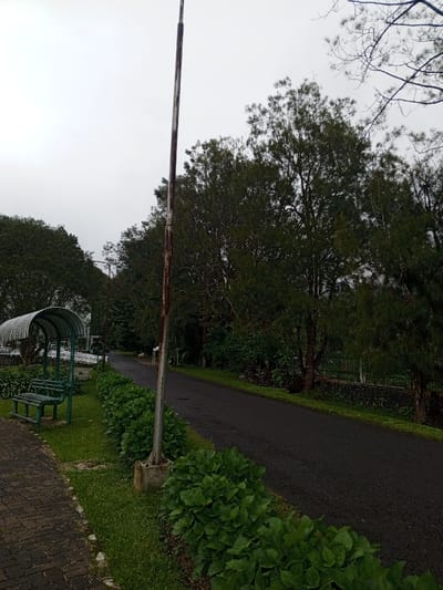 A rainy day in a park. A dark asphalt road curves into the distance, lined with lush green plants. A rusted flagpole stands tall near the road. To the left, a brick walkway runs parallel to the road, featuring a green bench under a curved shelter. Trees with dense foliage fill the background under a gray, overcast sky.