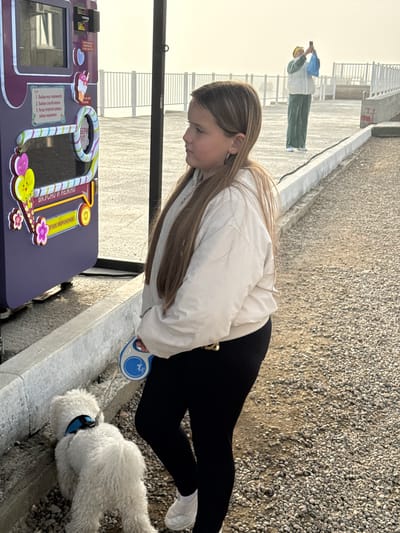 In Listvyanka, Russia, a young girl with long blonde hair stands beside a purple vending machine that dispenses ice cream. She is wearing a cream-colored bomber jacket and black leggings, holding a retractable blue and white dog leash attached to a fluffy white dog that is sniffing the ground. The vending machine has instructions in Russian, indicating a three-step process for selecting and purchasing ice cream. In the background, a person in a green tracksuit is photographing something with their phone. The scene is outdoors, with a gravelly ground and a concrete barrier, suggesting an open public area, possibly a boardwalk or promenade, with a railing in the distance. The sky is overcast and hazy.