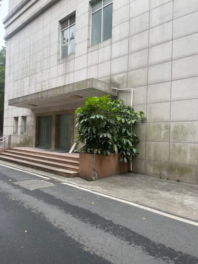 The image captures a side view of a building facade with a bush growing in a planter on the upper level. The building, located in Guangzhou Shi, China (latitude: 23.188, longitude: 113.329), has tiled walls and two windows. The lower level of the building has a set of stairs leading up to a doorway, which is covered by two glass doors. The image is taken from a low angle, looking up towards the building. The ground below the building is made of grey asphalt, which appears to be wet. The scene is empty of people.
