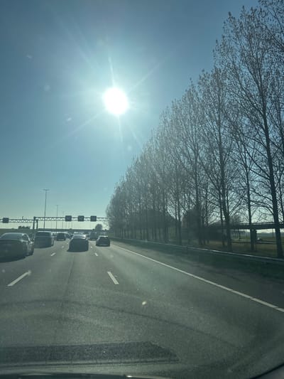 The image displays a multi-lane asphalt highway in Nieuw-Vennep, Netherlands, under a clear, bright blue sky. The perspective is from within a vehicle, looking forward through a windshield that shows a reflection of the dashboard in the lower foreground.
The highway consists of at least four lanes, with two lanes in the immediate foreground displaying white dashed and solid lane markings. Approximately eight to ten dark-colored passenger vehicles are visible ahead, traveling in the same direction. A dark SUV, possibly a Tesla Model X, is prominent in the far-left lane in the mid-ground.
To the right of the highway, a linear formation of numerous deciduous trees, mostly bare, runs parallel to the road, separated by a metal crash barrier. Beyond the trees, a flat, open landscape is visible, with an elevated concrete structure, possibly a bridge or overpass, in the distant background.
To the left of the highway, the landscape is flat and open, featuring utility poles. Multiple metallic gantries span the highway; one prominent gantry in the mid-ground on the left side displays digital speed limit signs, one of which clearly indicates "80."
The sun is intensely bright and positioned in the upper-left quadrant of the sky, emitting a pronounced starburst effect and causing lens flare and glare across the image. The scene suggests a daytime setting with clear weather conditions.