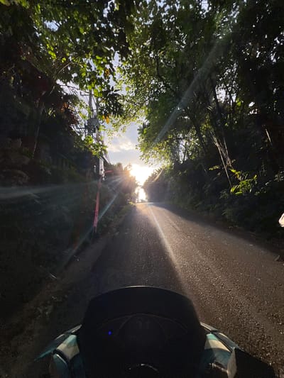 The image, possibly taken from a moving vehicle, depicts a narrow road winding through a lush, green environment likely located near Ubud, Indonesia, based on the vegetation. The sun is positioned at the end of the road, creating strong backlighting. The road surface is dark and textured, reflecting the sunlight. Dense foliage, including trees and vines, lines both sides of the road, casting shadows. Power lines and an electrical transformer are visible amongst the trees on the left side of the road. The right side of the image shows a portion of a vehicle, including a dark tire and part of the car's body.