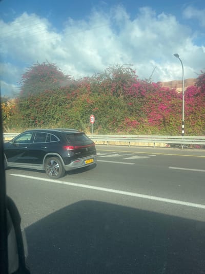 The image captures a black Mercedes-Benz EQA 250 electric vehicle driving on a road in Netanya, Israel. The car is in the right lane, with its license plate visible as "401-70-402". The vehicle is a dark color and appears to be a crossover SUV.
Behind the car, a vibrant pink and red bougainvillea hedge lines the side of the road. A speed limit sign indicating "70" is also visible. To the right of the hedge, a street lamp with a black and white striped pole stands tall. The sky above is a clear blue with scattered white clouds.
The road itself has clear lane markings, including a solid white line separating lanes and a broken yellow line indicating the edge of the road. The surface of the road is asphalt. The image appears to be taken from another vehicle, as evidenced by the shadow and some of the framing. The overall impression is a bright, sunny day in a well-maintained urban or suburban environment.