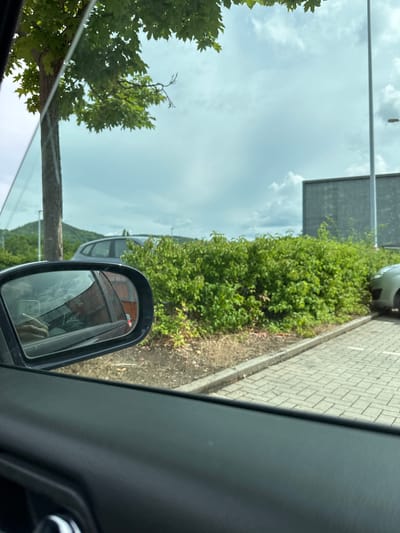 The image appears to be taken from inside a car in Rudolstadt, Germany. The foreground shows the interior of the car, specifically the door panel and a side mirror. The side mirror reflects a hand holding a smartphone and part of the car's interior. Outside the car, a tree with green leaves is visible on the left, with a cloudy sky and some buildings or structures in the distance. A dense green hedge runs along a paved parking area, with a light-colored car parked to the right. The scene suggests a daytime setting, possibly a parking lot in a semi-urban or suburban area of Rudolstadt.