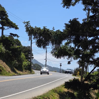 The image captures a sunny day on a winding road in Cannon Beach, Oregon, USA. The road, marked with double yellow lines and a white edge line, curves through a landscape densely populated with evergreen trees. Power lines and utility poles are visible against the clear blue sky, interspersed with the foliage. Two cars are traveling on the road: a silver SUV in the foreground with its headlights reflecting the bright sun, and a dark-colored SUV further ahead. The roadside is lined with grassy slopes and patches of vegetation. In the distance, rolling hills covered in trees suggest a natural, scenic environment. A yellow fire hydrant stands near the roadside to the right, partially obscured by trees.