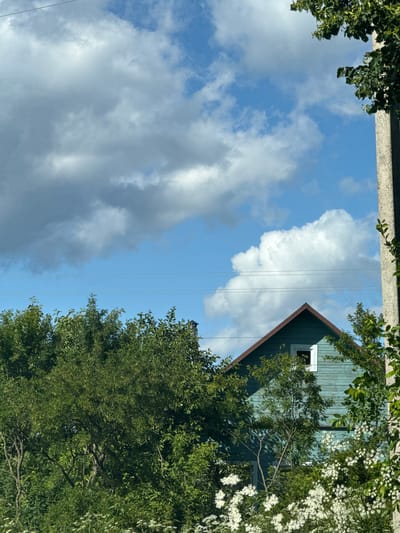 The image depicts a close-up view of a light blue wooden house partially obscured by lush green foliage and white flowering bushes. The house has a brown roof and a single visible white-framed window. Power lines are visible stretching horizontally across the frame above the trees. In the background, a bright blue sky is dotted with fluffy white and gray clouds. A rough concrete utility pole is present on the right side of the image, also partially covered by leaves. The scene appears to be set in a rural or suburban area, possibly in the city of Tatishchevo, Russia, given the architectural style and vegetation. There are no people or animals visible in the frame.