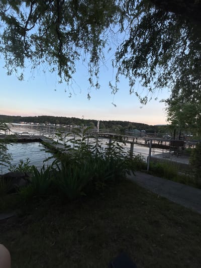 This is a vertical, eye-level, full shot of a waterfront area at dusk. The foreground is dominated by a grassy area on the right and darker foliage on the left. A paved walkway runs parallel to a body of water, a river or lake, which occupies the middle ground. On the water, there is a wooden pier with railings extending into the water. Several lounge chairs are visible on the pier. Across the water, a dense line of trees borders the opposite bank, with some houses and structures visible amongst the trees. The sky is a soft gradient of pale blue and pink, suggesting the sun is setting. The image appears to be taken from a park or public access area along the Dnipro River embankment in Cherkasy, Ukraine. There are no people or animals visible in the frame.