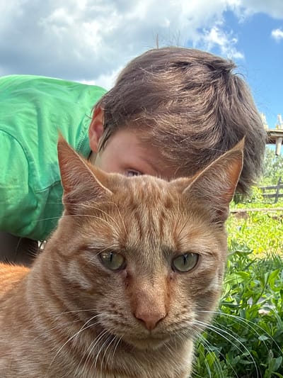A close-up, medium-shot image features an orange tabby cat in the foreground, facing the camera with its head tilted slightly. The cat has green eyes and white whiskers. Behind the cat, a person wearing a bright green shirt is partially visible, their head and upper body obscured by the cat. The person's brown hair is disheveled, and their face is mostly hidden, with only a glimpse of their eyes and ear visible. The background shows a garden with green foliage and a wooden fence under a cloudy sky. The scene appears to be outdoors, possibly in a backyard or a park, in the city of Uralskoye, Russia.