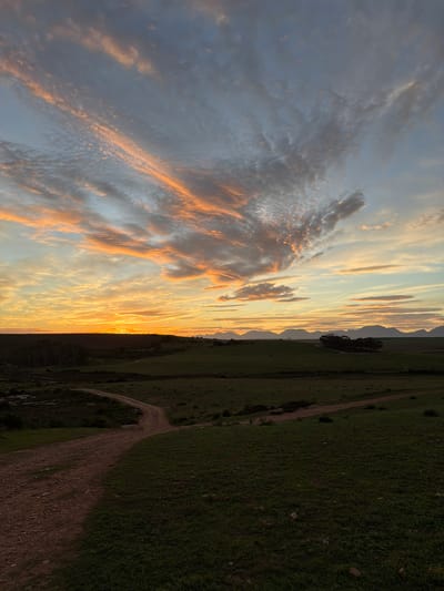 The image shows a landscape at sunset, likely located in a rural area near George, South Africa. The sky dominates the left half of the image, displaying a dramatic array of clouds illuminated with orange and yellow hues from the setting sun. On the right side of the image, there is a field of green grass with a dirt path running through it. The path appears to lead away from the viewer into the distance. A small grove of trees is visible in the mid-ground between the sky and the field. No people are visible in the scene.