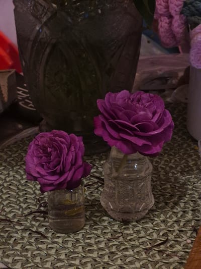 The image shows two purple roses in small glass vases, placed on a woven mat. The vase on the left contains a rose with slightly wilted petals, while the vase on the right holds a fuller, more vibrant rose. In the background, a large, dark, ornate vase is visible, with hints of other decorative elements, including what appears to be crocheted pink flowers. The lighting is dim, casting shadows and highlighting the textures of the woven mat and the flowers. The scene is indoors, likely in a domestic setting, and no people are present. The location is stated as Астра-1 Днт, Russia.