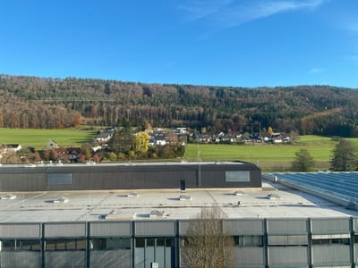 The image provides an elevated, matter-of-fact view of an urban-rural landscape in Rietheim-Weilheim, Germany, under a clear blue sky.
In the foreground, the light gray, flat roof of a large industrial or commercial building dominates, featuring multiple uniformly spaced rectangular skylights or vents. A section of the building's facade, constructed from vertical gray corrugated metal panels, is visible below the roofline, incorporating several rectangular windows, some with internal blinds. Situated on this main roof, a smaller, dark gray rectangular structure with a corrugated metal exterior and a large rectangular opening is positioned on the left. To the right, an adjacent rooftop section is entirely covered by a grid of sloped, reflective panels, likely solar arrays or a similar structured glazing system.
The midground reveals extensive bright green fields, indicative of agricultural land, extending towards a residential area. This area comprises numerous detached homes, mostly white or light-colored with dark roofs, nestled among a variety of trees exhibiting autumn foliage in shades of yellow, orange, and brown.
The background is defined by a dense forest covering a substantial hill or mountain range. The forest consists of a mixture of deciduous trees, many with bare branches or reddish-brown leaves, and darker evergreen conifers. A distinct, diagonal clear-cut or cleared path is visible ascending through the forest on the right side of the hill. The sky above is uniformly clear and blue, indicating bright, sunny weather. There are no individuals, discernible actions, or interactions present in the scene.