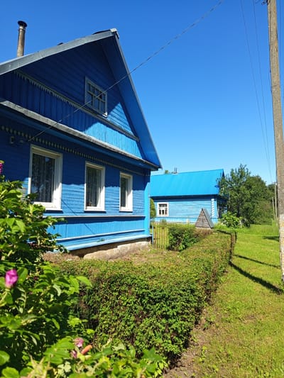 The image shows a close-up view of two blue wooden houses with white trim and windows. The house in the foreground is larger and more detailed, with decorative elements along the roofline. The second house is visible in the background, also painted blue with a metal roof. A chimney pipe extends from the front house. Lush green grass and bushes surround the houses, and a pink flower is visible in the foreground. The sky is a clear, bright blue, suggesting a sunny day. A utility pole with wires is present on the left side of the image, casting a shadow across the scene. The overall setting appears to be a rural or suburban residential area, possibly in Ostrovtsy, Russia, given the provided location context. The image is taken from a low angle, looking up at the houses and the sky. There is no visible text in the image.