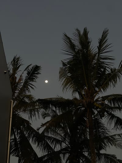 This media file depicts a twilight scene in Kediri, Indonesia, with a clear sky and a full moon visible. The primary subjects are palm trees, their fronds silhouetted against the dim sky. The camera is positioned low, looking upwards towards the palm tree canopy and the moon. Part of a building's roof is visible in the foreground, adding a man-made element to the natural landscape. The overall mood is serene and tranquil, indicative of a peaceful evening. The time of day is clearly evening or night, given the presence and brightness of the moon and the dim ambient light. There is no visible text in the image.